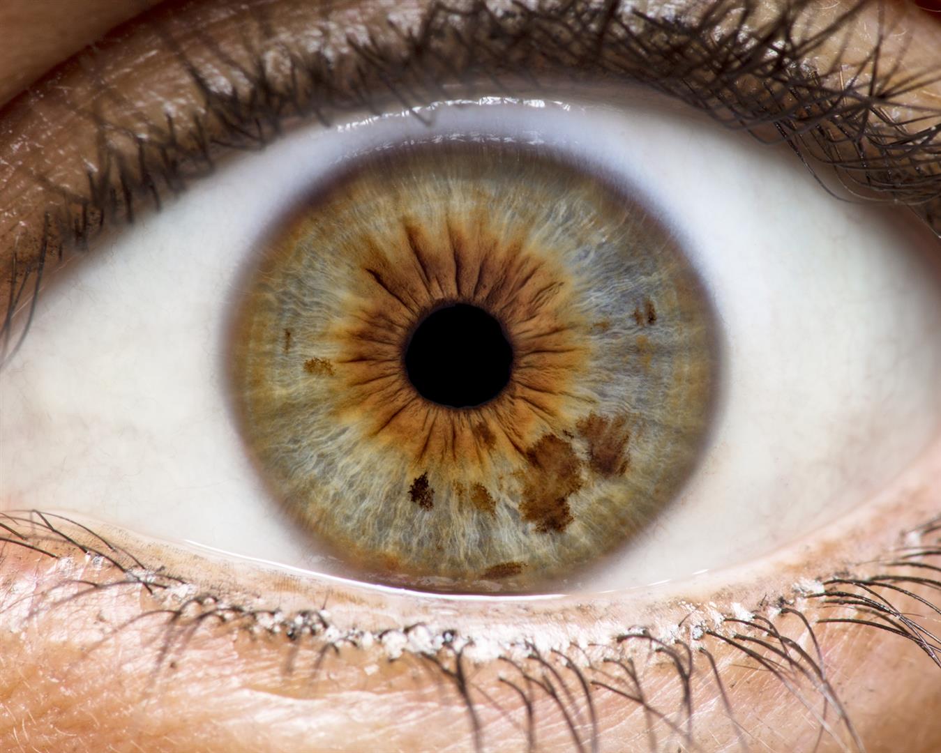 Experience nº1: The Eyes Know